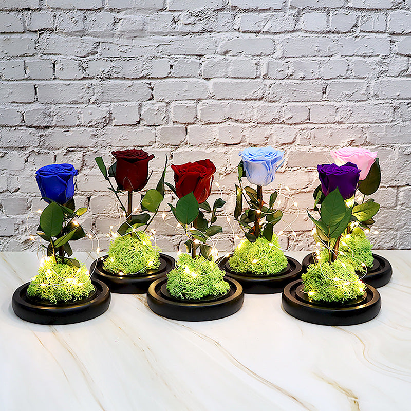 Preserved Flower Decoration — Handmade Eternal Bloom