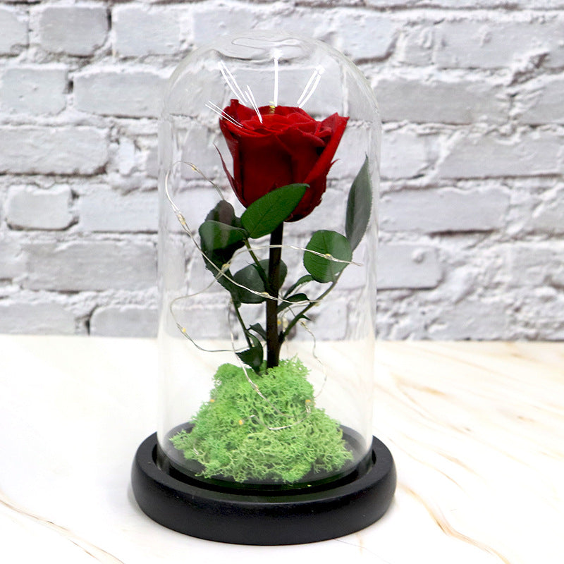 Preserved Flower Decoration — Handmade Eternal Bloom
