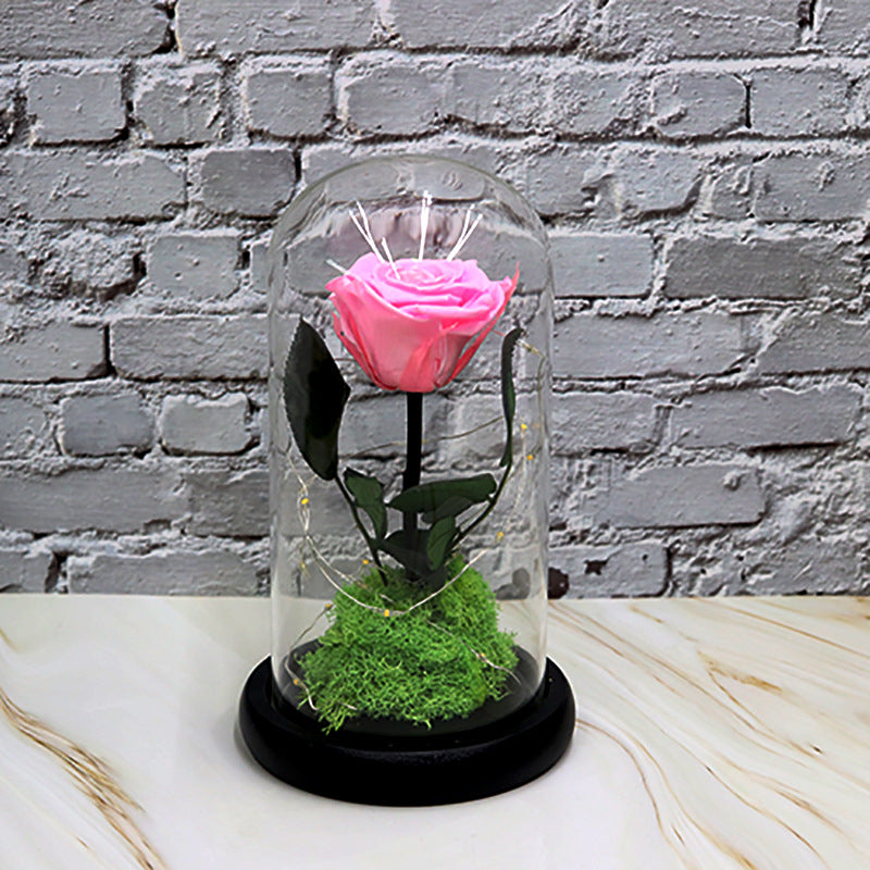 Preserved Flower Decoration — Handmade Eternal Bloom