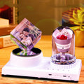Crystal Music Lamp & Rose Gift Set — Romantic Luxury Collection